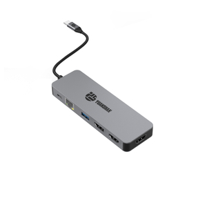 11 合 1 USB C 集線器，帶 2 x HDMI 4K 60HZ + DP + PD 100W + Type C 數據 + USB 2.0 + 2 x USB A 3.0 + RJ45 1000Mbps + 3.5mm 音頻/麥克風 + SD + TF 讀卡器多端口擴展塢
